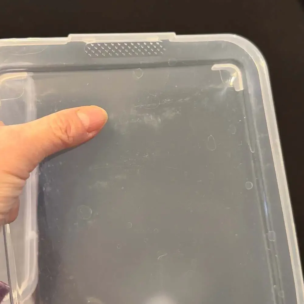 Boston Red Sox MLB Clear Plastic Storage Box with Lid